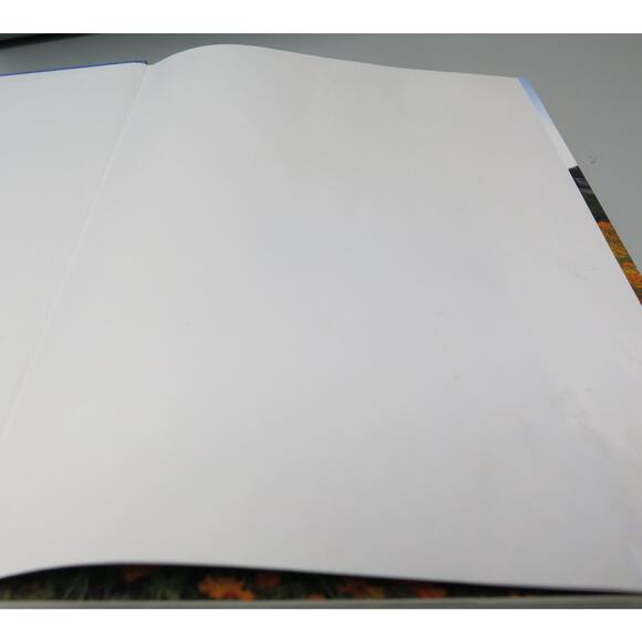 CATHOLIC DIOCESE of CHARLESTON South Carolina  History of Churches Book 2008 - Picture 15 of 15